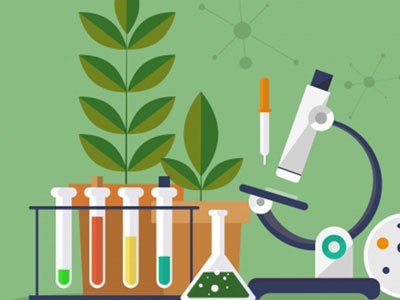 Phong trào dân tộc dân chủ ở Việt Nam từ năm 1919 đến năm 1925